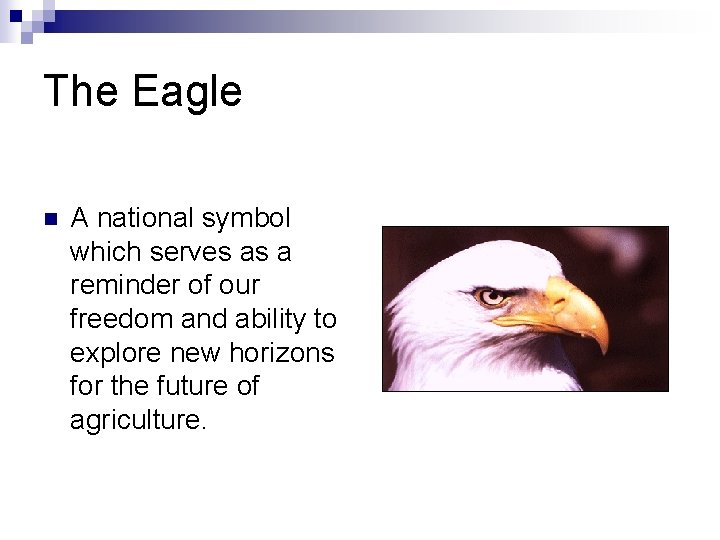 The Eagle n A national symbol which serves as a reminder of our freedom