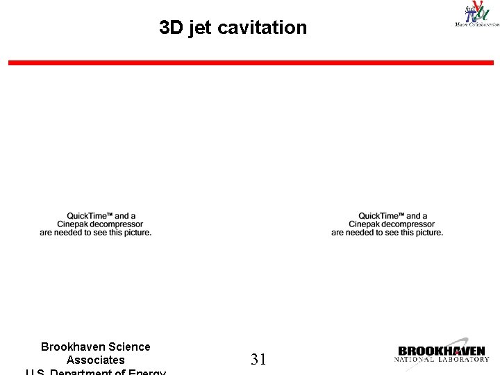 3 D jet cavitation Brookhaven Science Associates 31 