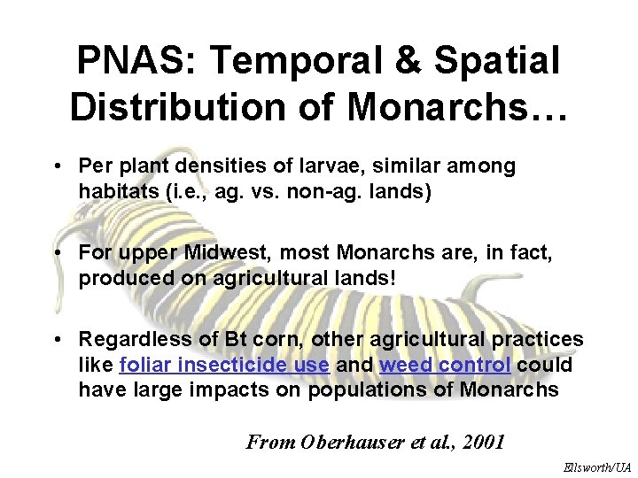 PNAS: Temporal & Spatial Distribution of Monarchs… • Per plant densities of larvae, similar