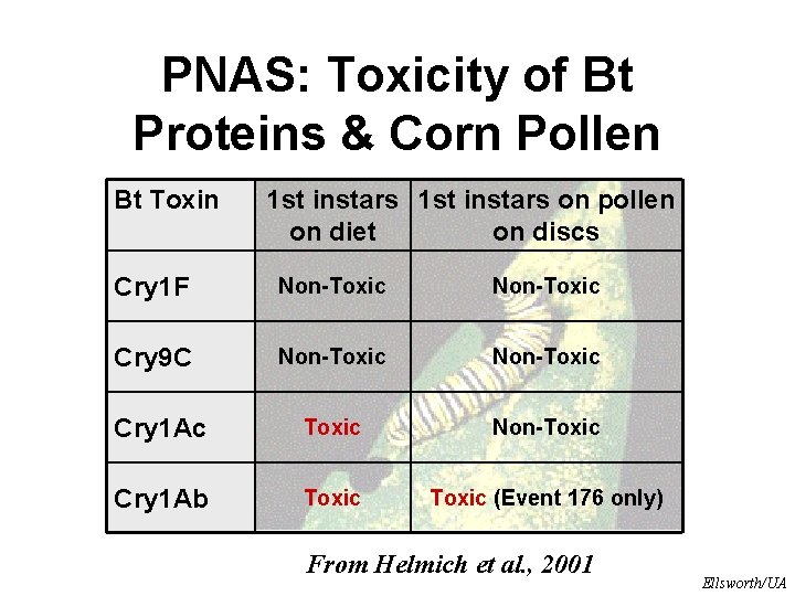 PNAS: Toxicity of Bt Proteins & Corn Pollen Bt Toxin 1 st instars on