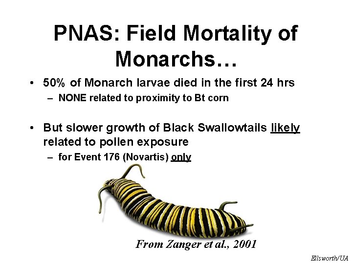 PNAS: Field Mortality of Monarchs… • 50% of Monarch larvae died in the first