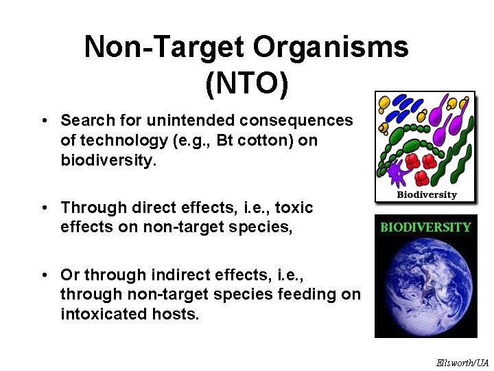 Non-Target Organisms (NTO) • Search for unintended consequences of technology (e. g. , Bt