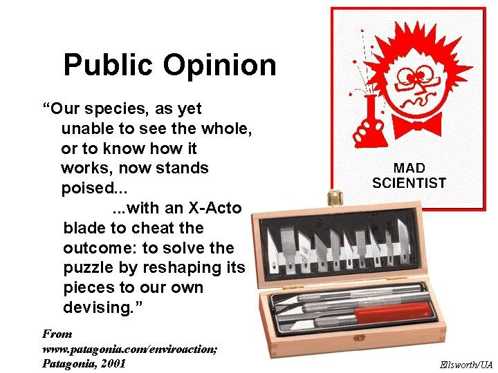 Public Opinion “Our species, as yet unable to see the whole, or to know