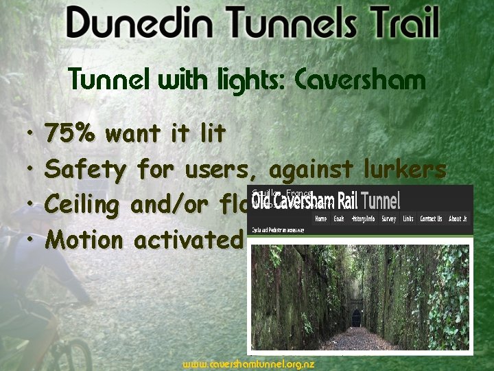 Tunnel with lights: Caversham • • 75% want it lit Safety for users, against