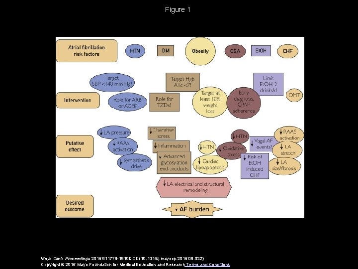 Figure 1 Mayo Clinic Proceedings 2016 911778 -1810 DOI: (10. 1016/j. mayocp. 2016. 08.