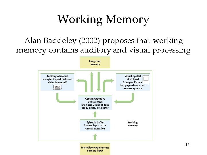Working Memory Alan Baddeley (2002) proposes that working memory contains auditory and visual processing Working Memory Alan Baddeley (2002) proposes that working memory contains auditory and visual processing