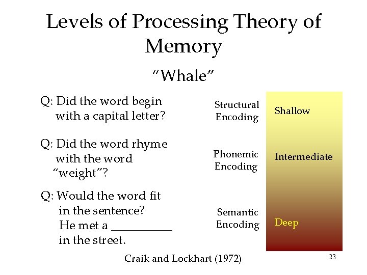 Levels of Processing Theory of Memory “Whale” Q: Did the word begin with a Levels of Processing Theory of Memory “Whale” Q: Did the word begin with a