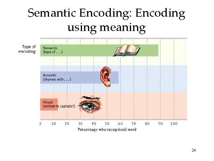 Semantic Encoding: Encoding using meaning 24 Semantic Encoding: Encoding using meaning 24