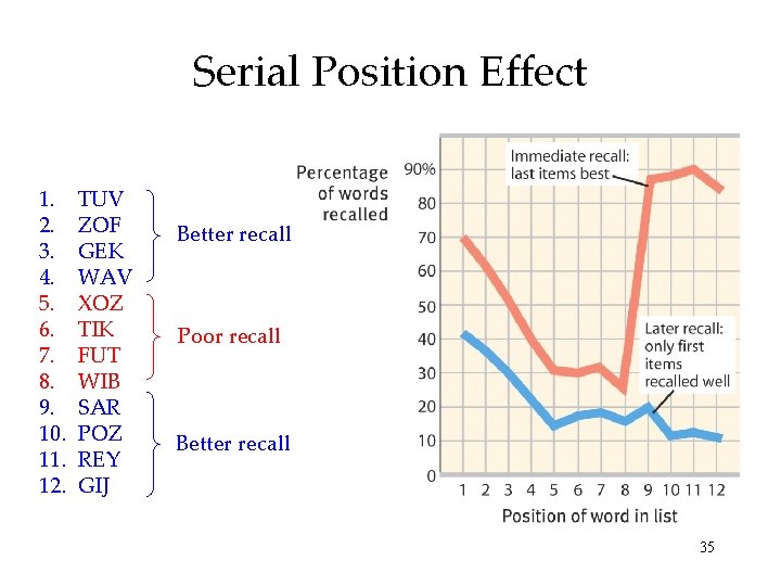 Serial Position Effect 1. 2. 3. 4. 5. 6. 7. 8. 9. 10. 11. Serial Position Effect 1. 2. 3. 4. 5. 6. 7. 8. 9. 10. 11.