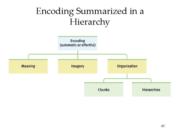 Encoding Summarized in a Hierarchy 45 Encoding Summarized in a Hierarchy 45