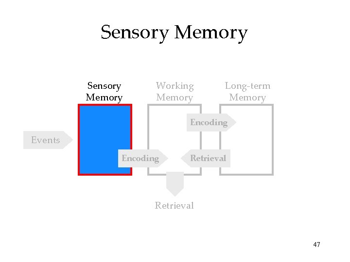 Sensory Memory Working Memory Long-term Memory Encoding Events Encoding Retrieval 47 Sensory Memory Working Memory Long-term Memory Encoding Events Encoding Retrieval 47