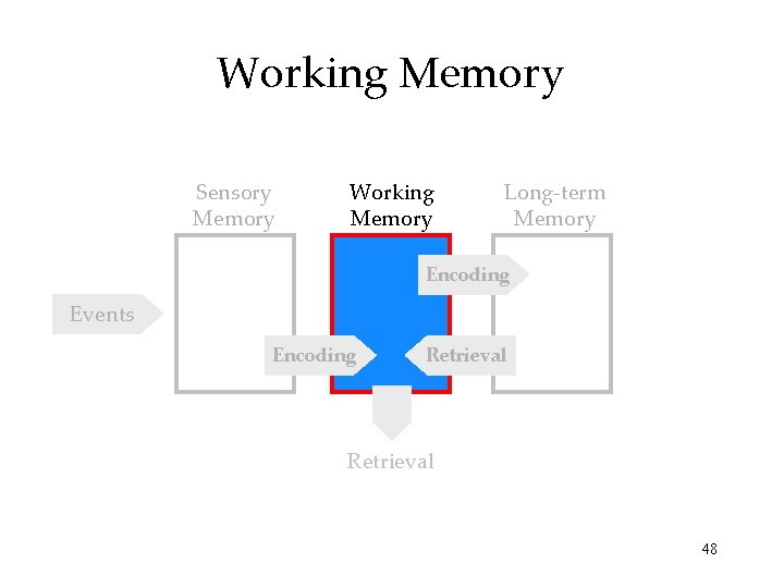 Working Memory Sensory Memory Working Memory Long-term Memory Encoding Events Encoding Retrieval 48 Working Memory Sensory Memory Working Memory Long-term Memory Encoding Events Encoding Retrieval 48