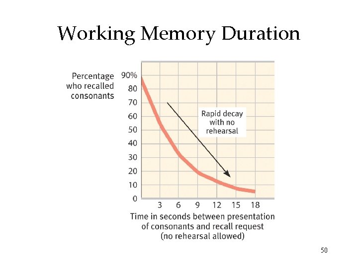 Working Memory Duration 50 Working Memory Duration 50