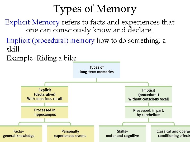 Types of Memory Explicit Memory refers to facts and experiences that one can consciously Types of Memory Explicit Memory refers to facts and experiences that one can consciously