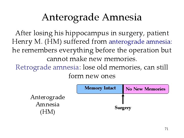 Anterograde Amnesia After losing his hippocampus in surgery, patient Henry M. (HM) suffered from Anterograde Amnesia After losing his hippocampus in surgery, patient Henry M. (HM) suffered from