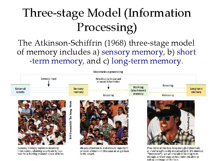 Three-stage Model (Information Processing) Frank Wartenberg/ Picture Press/ Corbis Bob Daemmrich/ The Image Works Three-stage Model (Information Processing) Frank Wartenberg/ Picture Press/ Corbis Bob Daemmrich/ The Image Works