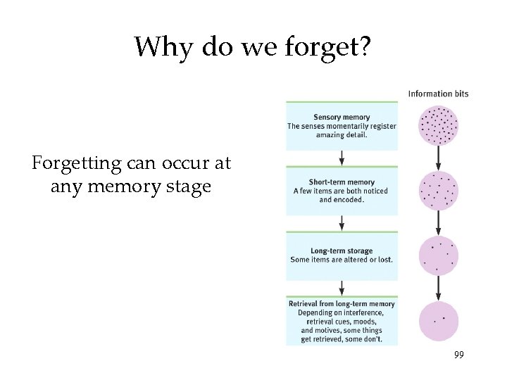 Why do we forget? Forgetting can occur at any memory stage 99 Why do we forget? Forgetting can occur at any memory stage 99