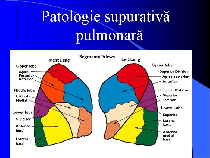 Patologie supurativă pulmonară 