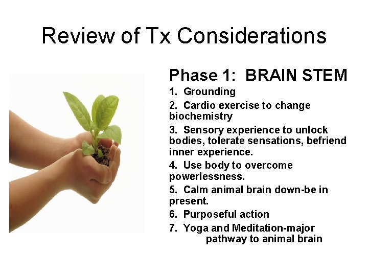 Review of Tx Considerations Phase 1: BRAIN STEM 1. Grounding 2. Cardio exercise to