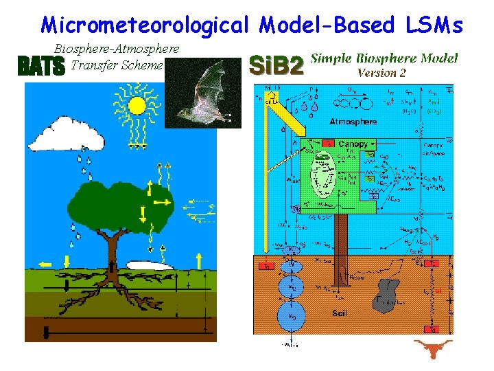 Micrometeorological Model-Based LSMs Biosphere-Atmosphere Transfer Scheme BATS 