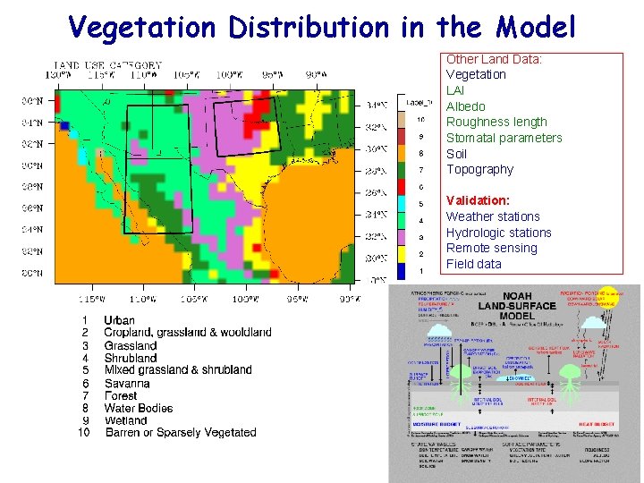 Vegetation Distribution in the Model Other Land Data: Vegetation LAI Albedo Roughness length Stomatal