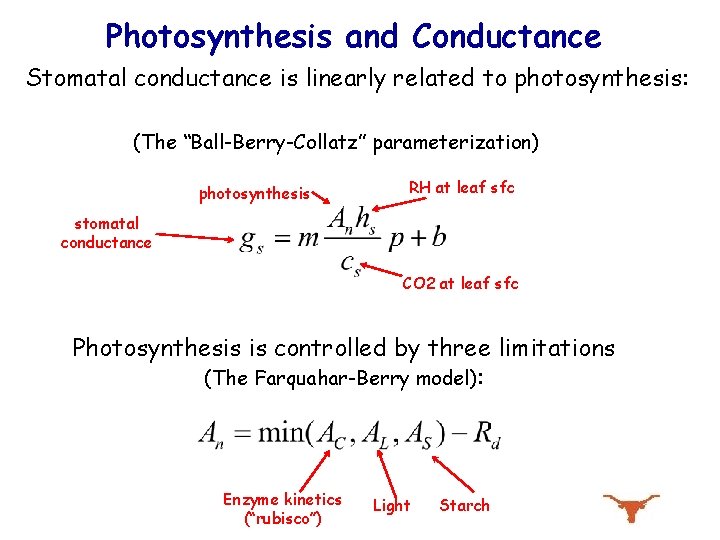 Photosynthesis and Conductance Stomatal conductance is linearly related to photosynthesis: (The “Ball-Berry-Collatz” parameterization) photosynthesis