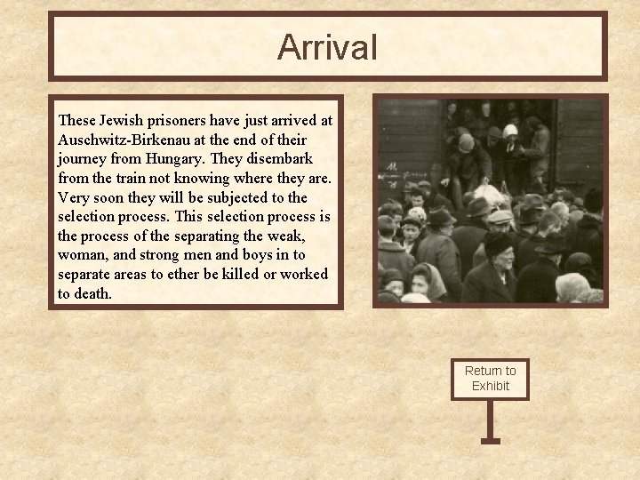 Arrival These Jewish prisoners have just arrived at Auschwitz-Birkenau at the end of their