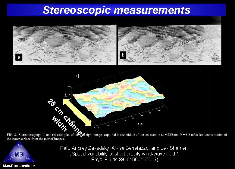Stereoscopic measurements 25 l ne an ch th cm wid Ref. : Andrey Zavadsky,