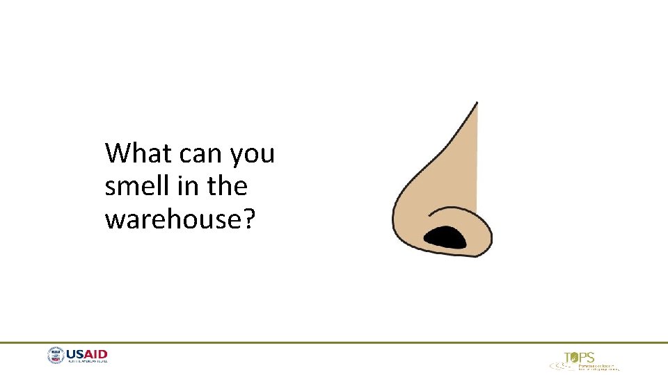 What can you smell in the warehouse? What can you smell in the warehouse?