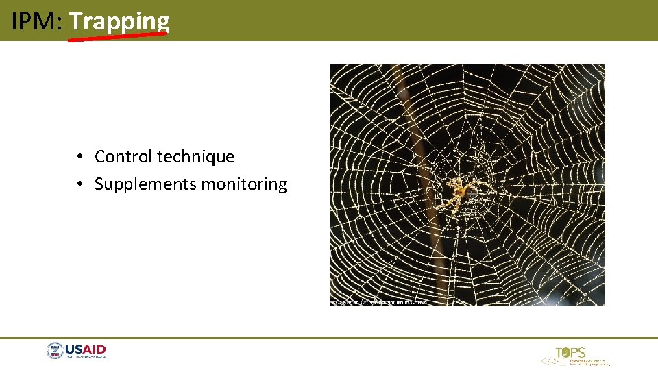 IPM: Trapping • Control technique • Supplements monitoring IPM: Trapping • Control technique • Supplements monitoring