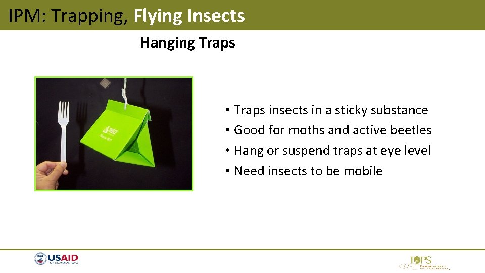IPM: Trapping, Flying Insects Hanging Traps • Traps insects in a sticky substance • IPM: Trapping, Flying Insects Hanging Traps • Traps insects in a sticky substance •
