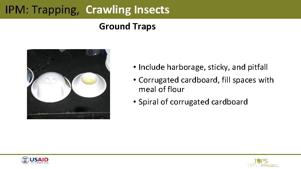 IPM: Trapping, Crawling Insects Ground Traps • Include harborage, sticky, and pitfall • Corrugated IPM: Trapping, Crawling Insects Ground Traps • Include harborage, sticky, and pitfall • Corrugated