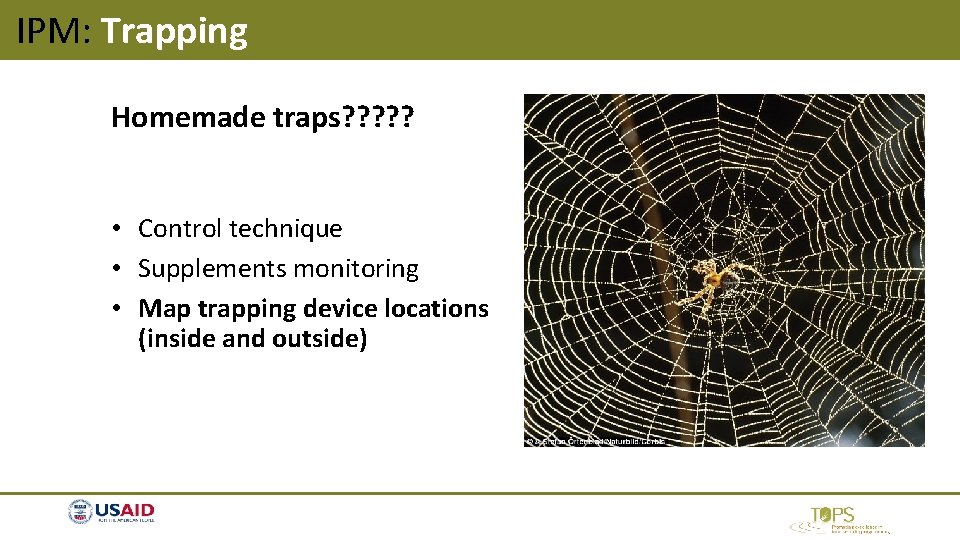 IPM: Trapping Homemade traps? ? ? • Control technique • Supplements monitoring • Map IPM: Trapping Homemade traps? ? ? • Control technique • Supplements monitoring • Map