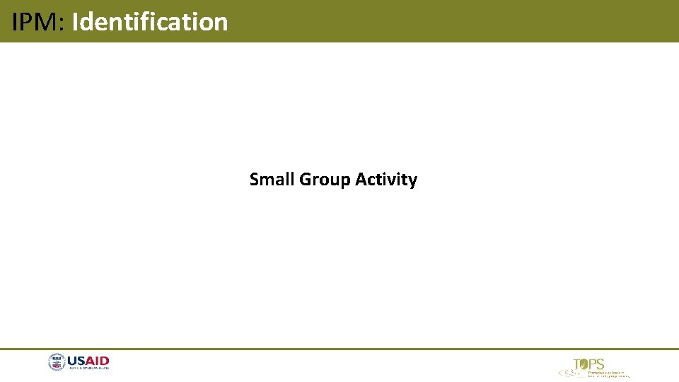 IPM: Identification Small Group Activity IPM: Identification Small Group Activity