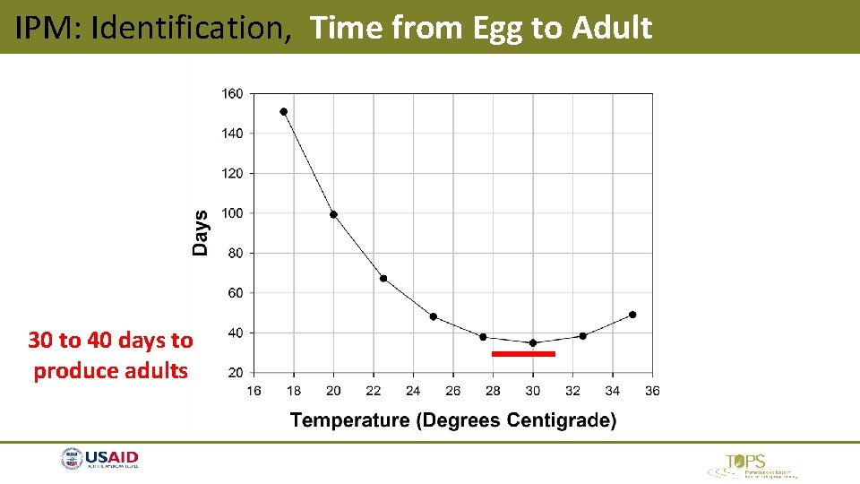 IPM: Identification, Time from Egg to Adult 30 to 40 days to produce adults IPM: Identification, Time from Egg to Adult 30 to 40 days to produce adults