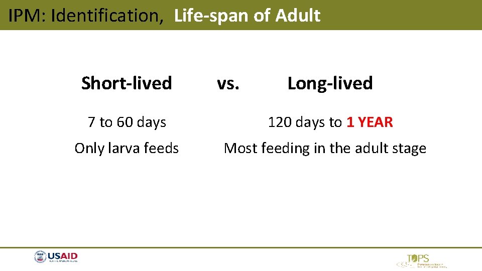 IPM: Identification, Life-span of Adult Short-lived 7 to 60 days Only larva feeds vs. IPM: Identification, Life-span of Adult Short-lived 7 to 60 days Only larva feeds vs.