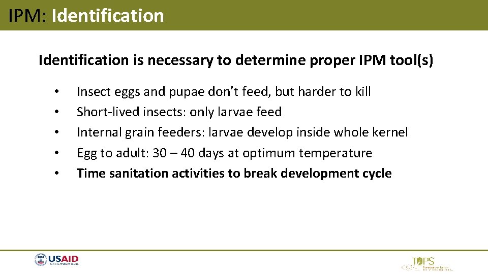 IPM: Identification is necessary to determine proper IPM tool(s) • • • Insect eggs IPM: Identification is necessary to determine proper IPM tool(s) • • • Insect eggs