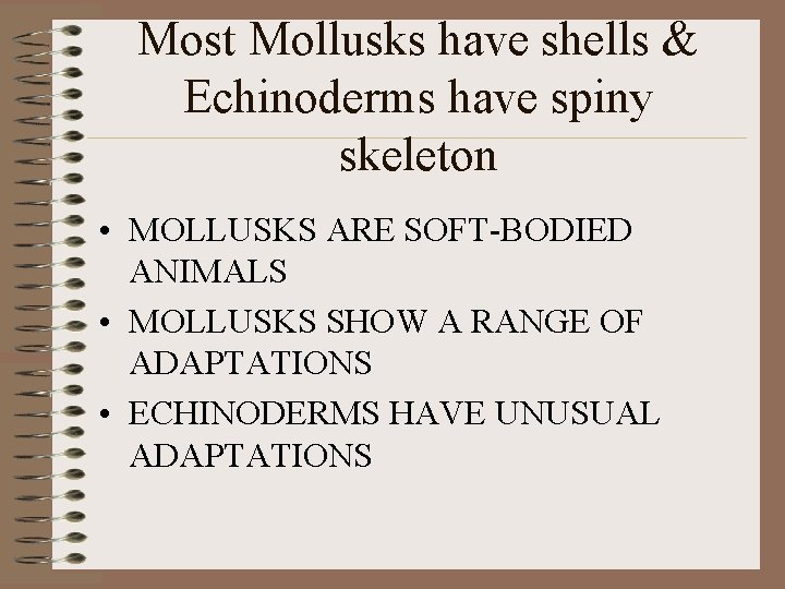 Most Mollusks have shells & Echinoderms have spiny skeleton • MOLLUSKS ARE SOFT-BODIED ANIMALS
