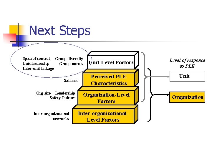 Next Steps Span of control Group diversity Unit leadership Group norms Inter-unit linkage Salience