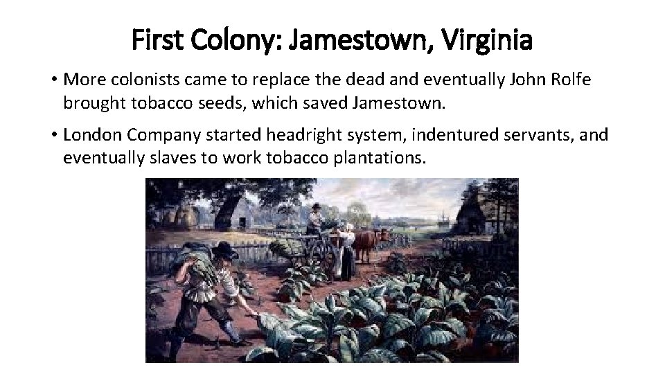 First Colony: Jamestown, Virginia • More colonists came to replace the dead and eventually