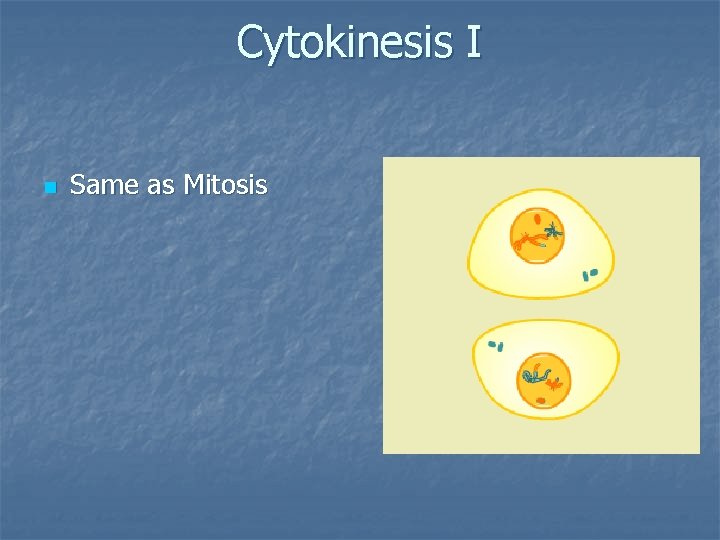 Cytokinesis I n Same as Mitosis 