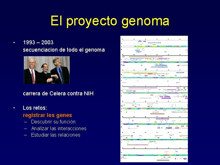 El proyecto genoma • 1993 – 2003 secuenciacion de todo el genoma carrera de