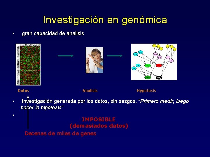 Investigación en genómica • gran capacidad de analisis Datos • • Analisis Hypotesis Investigación