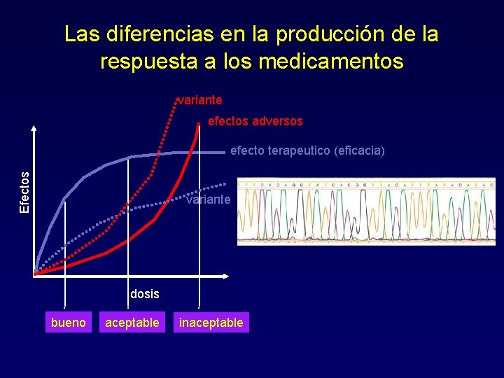 Las diferencias en la producción de la respuesta a los medicamentos variante efectos adversos