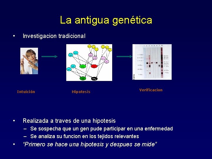 La antigua genética • Investigacion tradicional Intuición Hipotesis Verificacion • Realizada a traves de