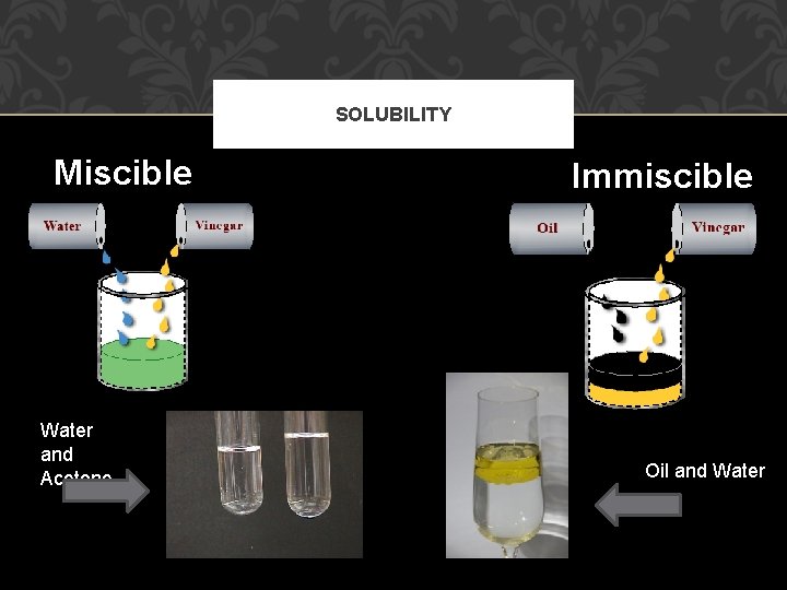 SOLUBILITY Miscible Water and Acetone Immiscible Oil and Water 