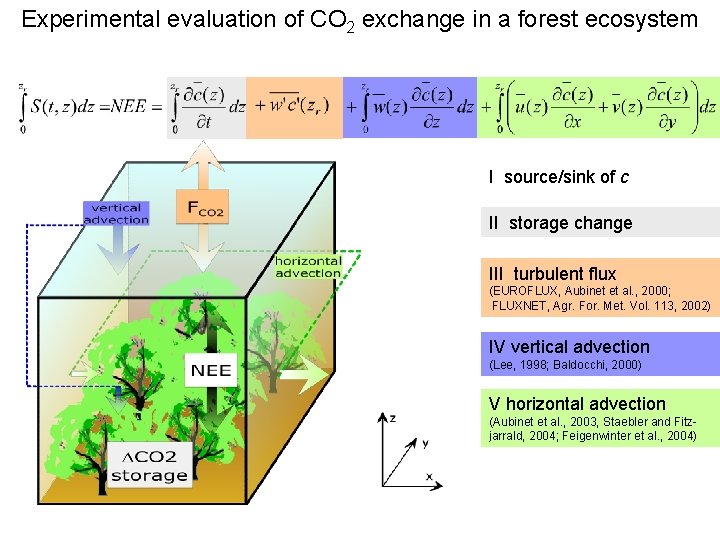 Experimental evaluation of CO 2 exchange in a forest ecosystem I source/sink of c