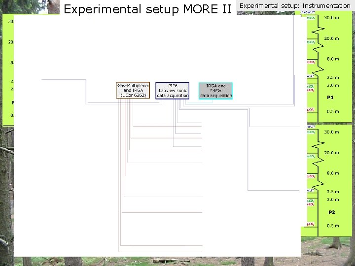 Experimental setup MORE II Experimental setup: Instrumentation 