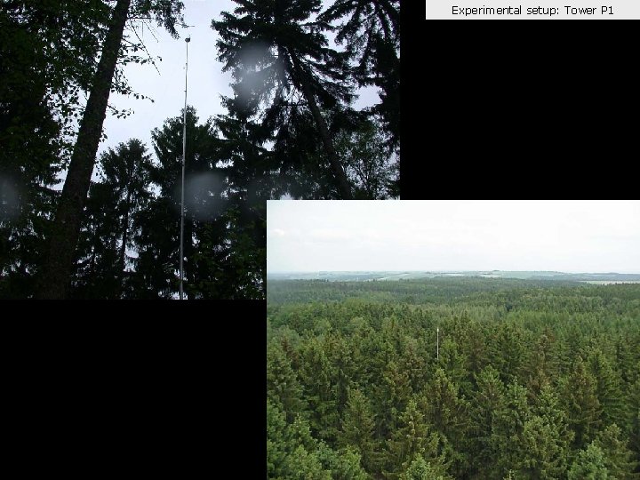 Experimental setup: Tower P 1 