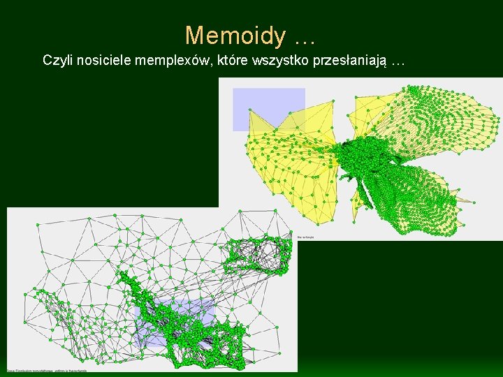 Memoidy … Czyli nosiciele memplexów, które wszystko przesłaniają … 